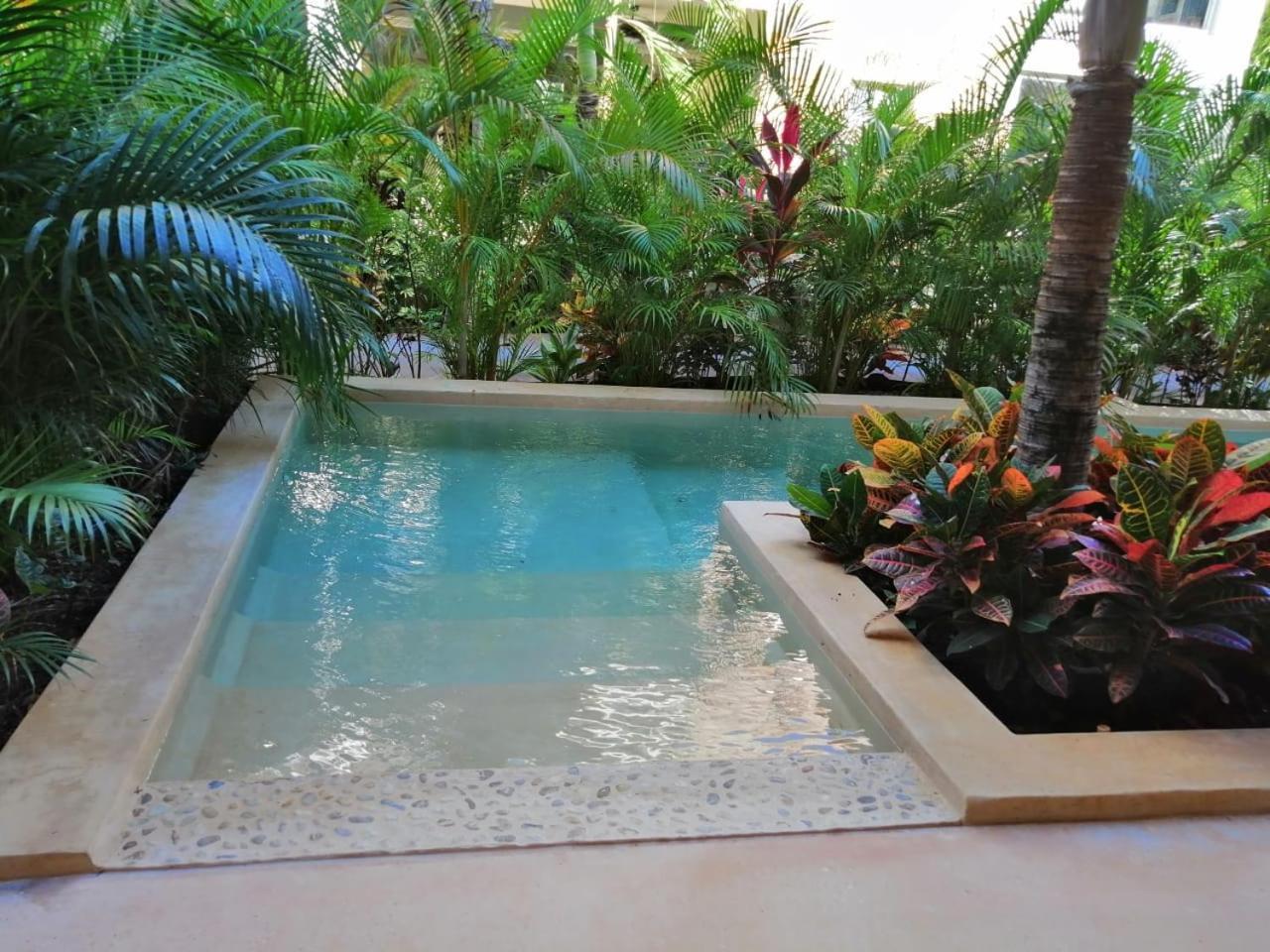 טולום Alma De Flores Private Pools Suites מראה חיצוני תמונה