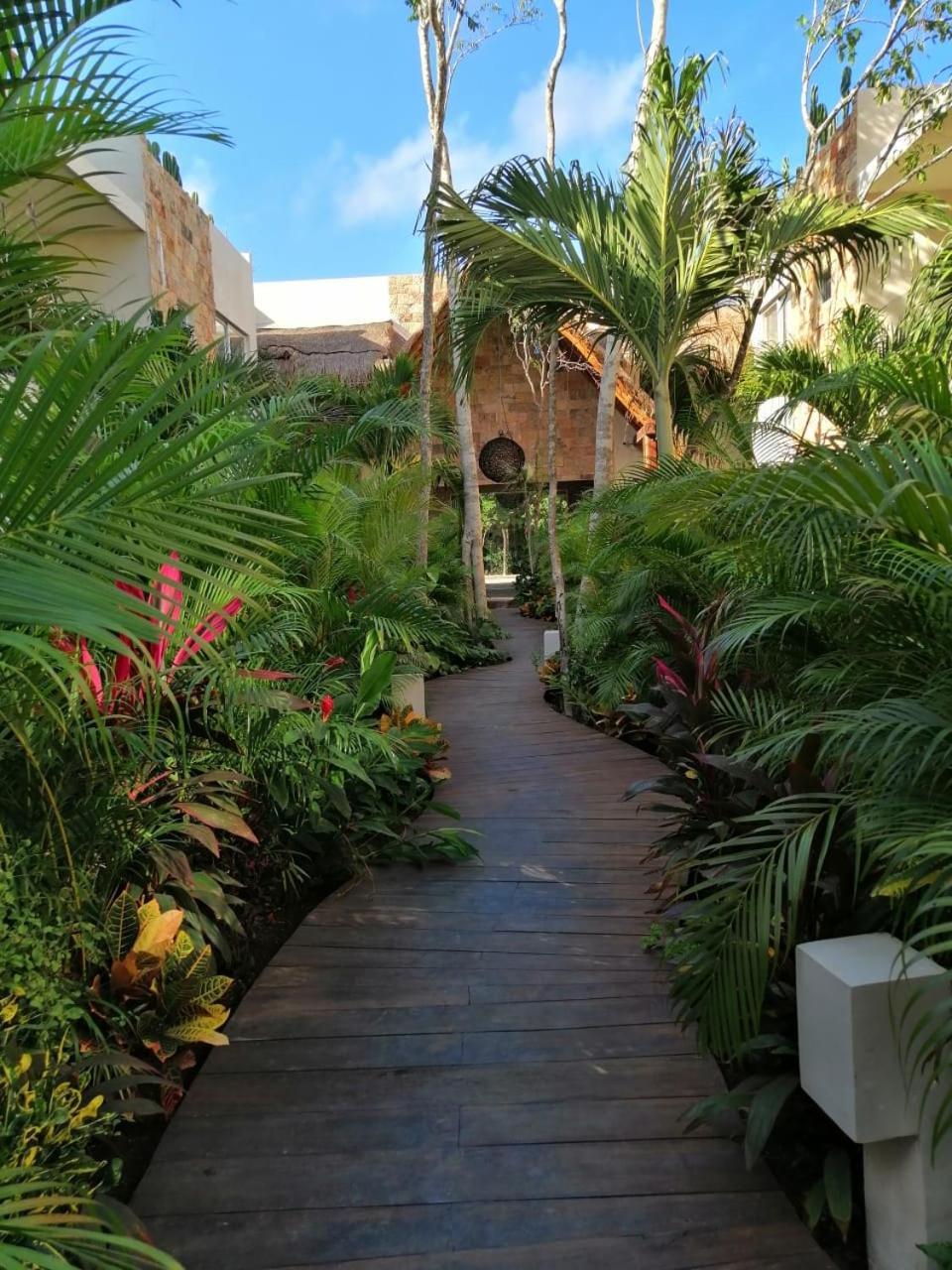 טולום Alma De Flores Private Pools Suites מראה חיצוני תמונה